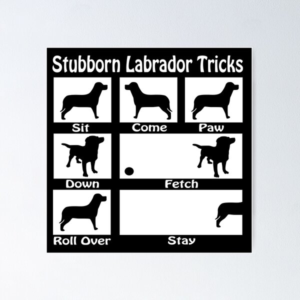 Item preview, Stubborn Labrador Tricks designed and sold by Ricaso.