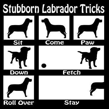 Artwork thumbnail, Stubborn Labrador Tricks by Ricaso