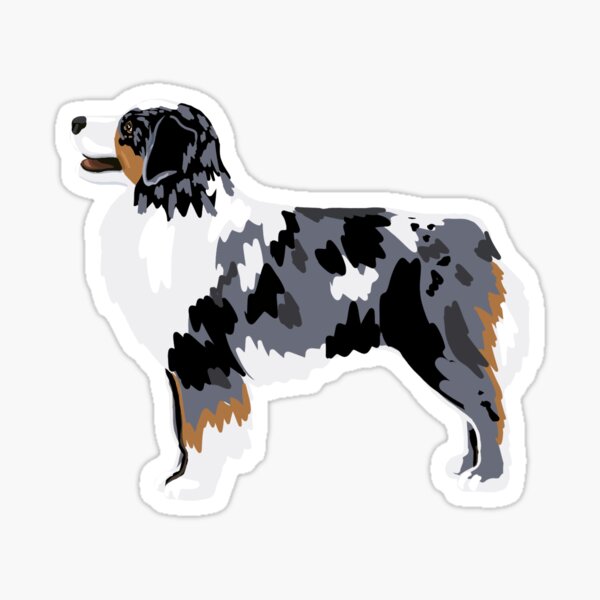 Item preview, Blue Merle Australian Shepherd designed and sold by gallobowl.