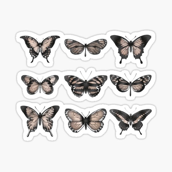 Sticker papillon en vol aesthetic autocollant - ref 280822 - Stickers  Autocollants personnalisés