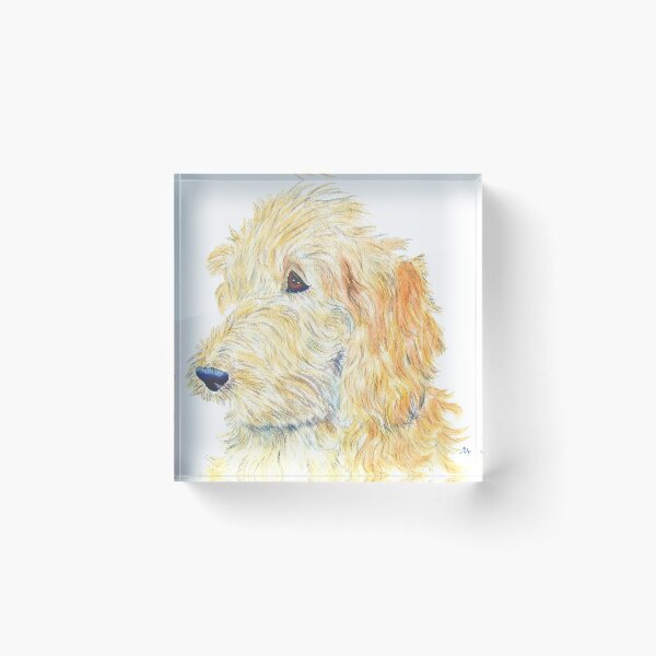 Item preview, Cream Labradoodle designed and sold by Skosty75.