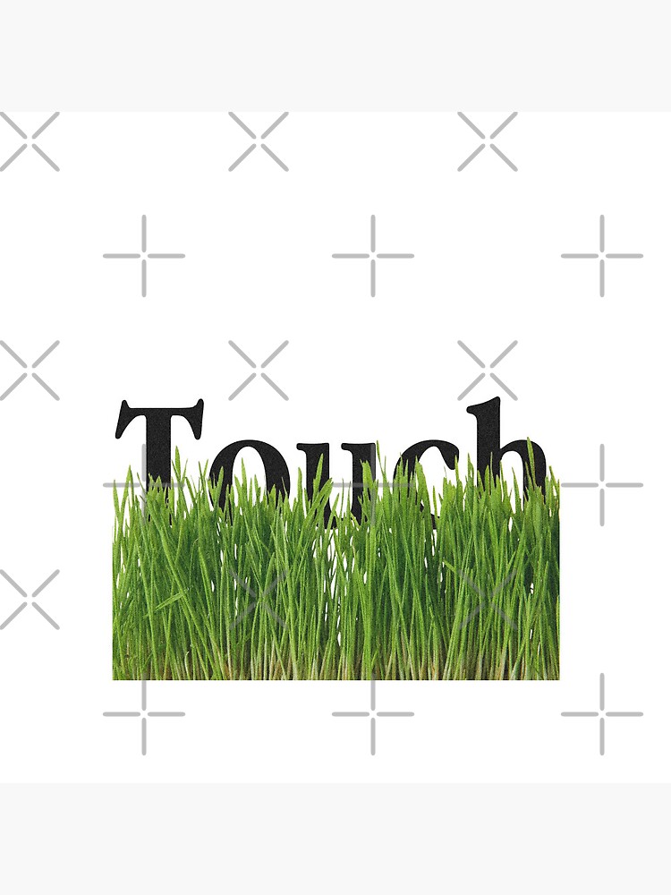 TOUCH SOME GRASS MEME  Pin for Sale by xenocene