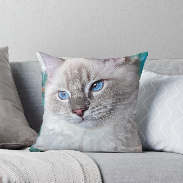 Item preview, Lynx ragdoll baby cat designed and sold by Fluffycat2020.