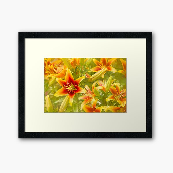 Item preview, Lilies Galore designed and sold by Marilyn Cornwell.
