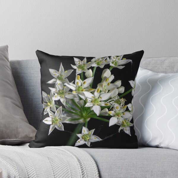 Aperçu de l'œuvre Ciboulette ail créée et vendue par Greg Birkett.