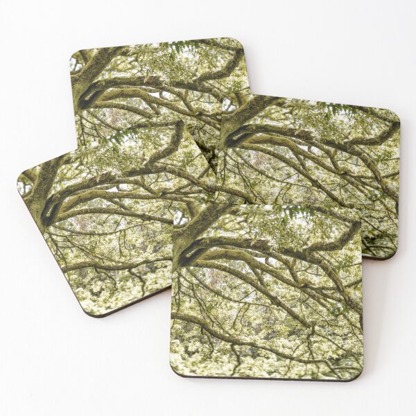 Item preview, Dreamy Oak designed and sold by DiFigianoPhoto.