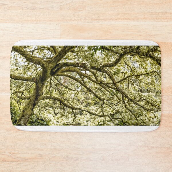 Item preview, Dreamy Oak designed and sold by DiFigianoPhoto.