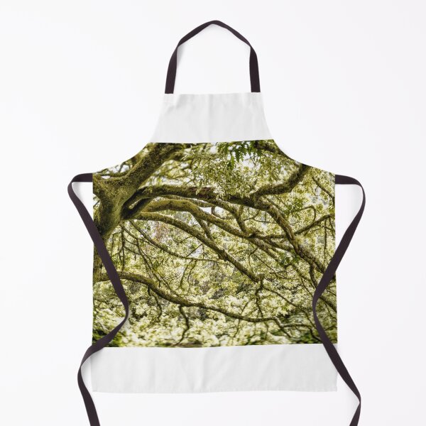 Item preview, Dreamy Oak designed and sold by DiFigianoPhoto.