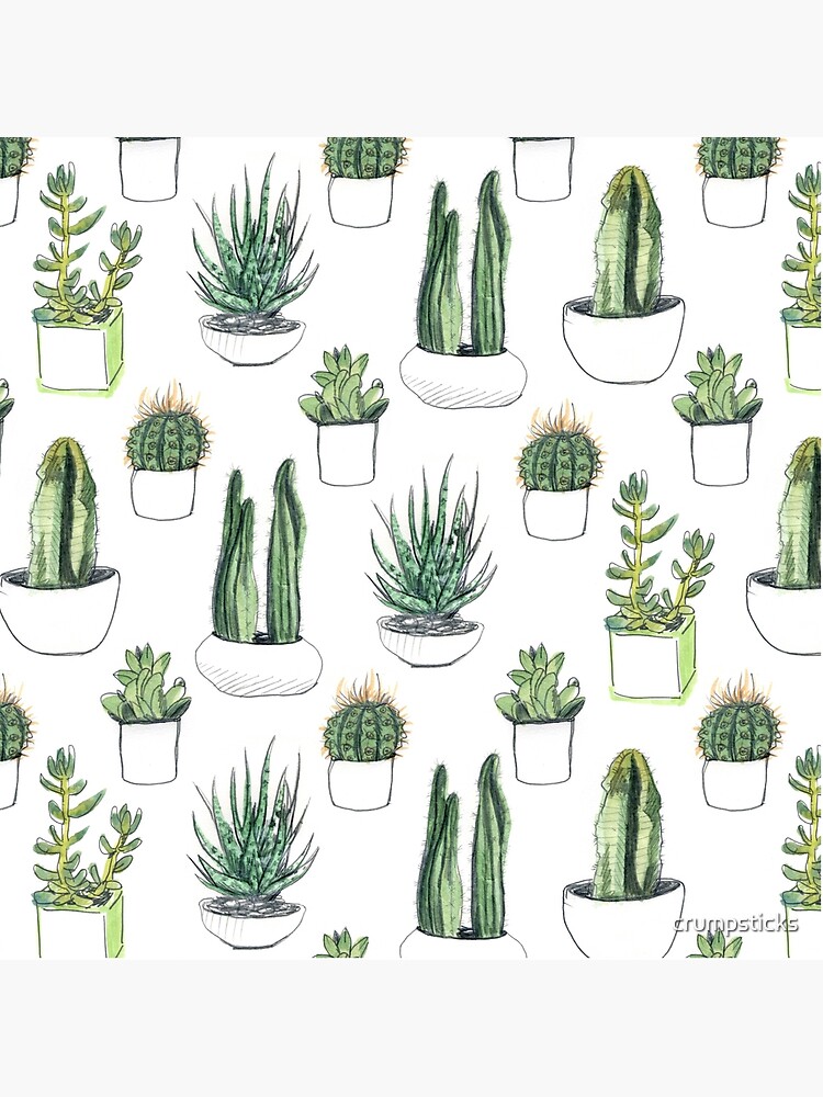 Watercolour cacti & succulents by crumpsticks