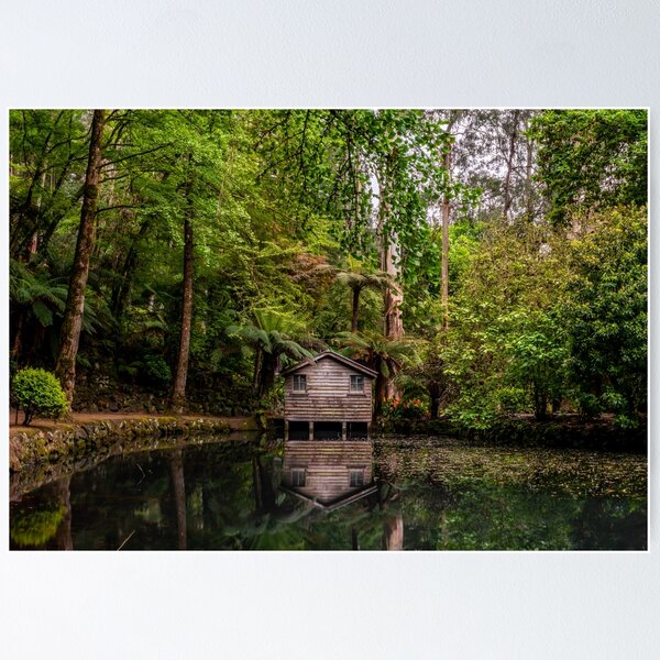 Item preview, Rainforest Boathouse designed and sold by RyanTwycross.