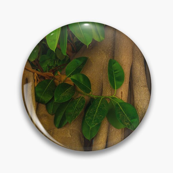 Item preview, Banyan designed and sold by Ralph Goldsmith.