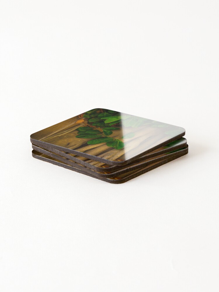 Thumbnail 4 of 5, Coasters (Set of 4), Banyan designed and sold by RalphGoldsmith.