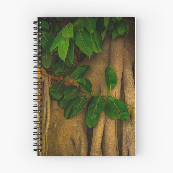 Item preview, Banyan designed and sold by Ralph Goldsmith.