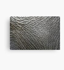 Elephant skin Canvas Print