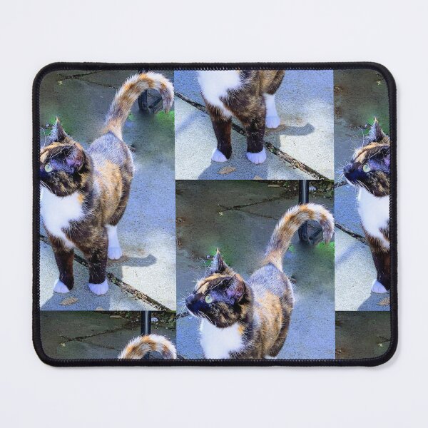 Item preview, Man’s best friend is not a dog… designed and sold by Peacebeyou.