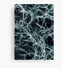 FIBRE Canvas Print