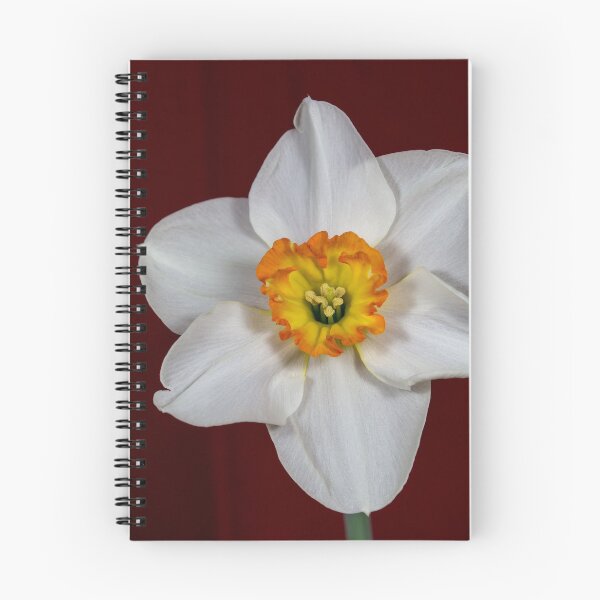 Item preview, Narcissus detail designed and sold by Derek Corner.