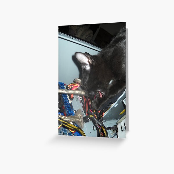 Lil Bear Helps Fix Computer Greeting Card