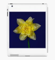 Double headed daffodil iPad Case/Skin