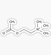 Acetylcholine chemical molecule Sticker