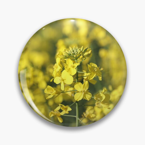 Item preview, Springtime canola designed and sold by Leanne Davis.