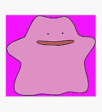 Ditto Photographic Print