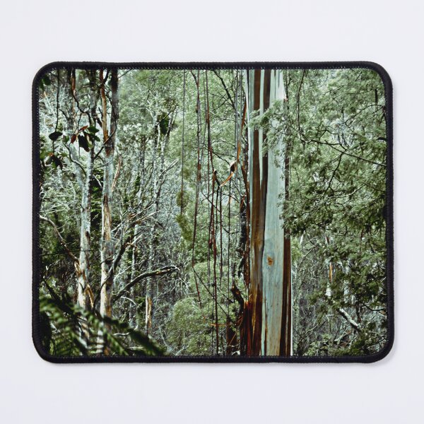Item preview, Forest Retreat designed and sold by cyv-photography.