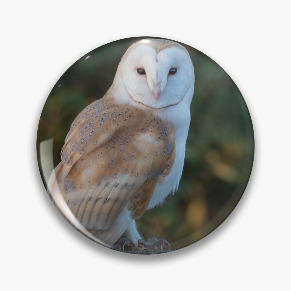 Item preview, barn owl designed and sold by tammy mellor.