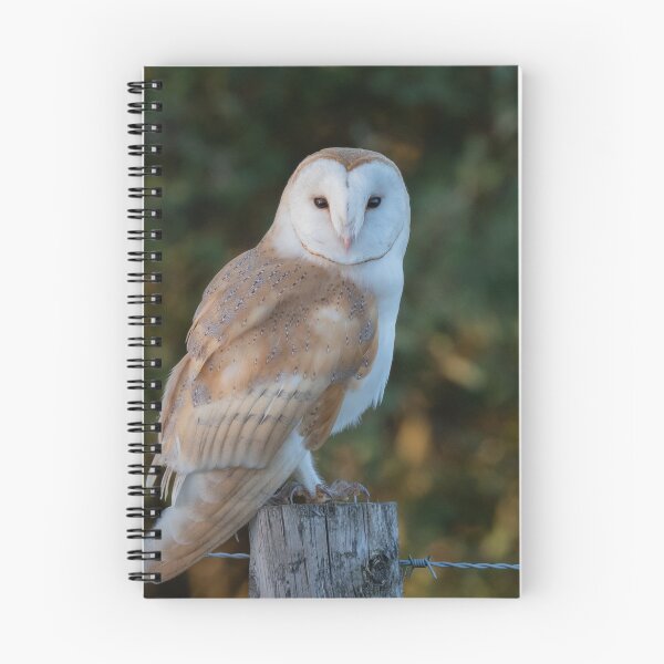 Item preview, barn owl designed and sold by tammy mellor.