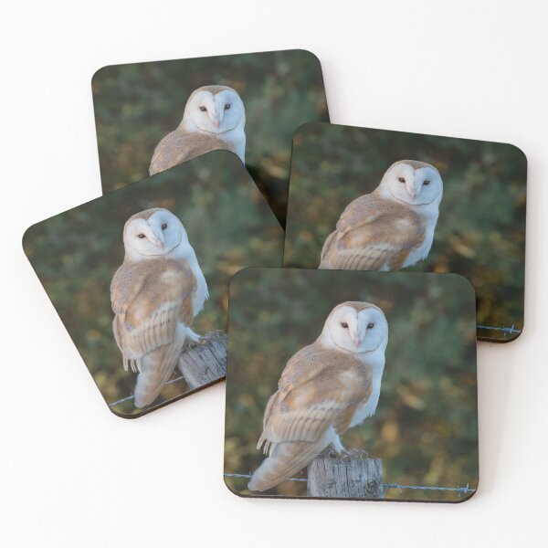 Item preview, barn owl designed and sold by tammy mellor.