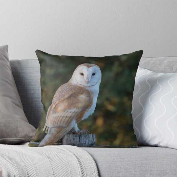 Item preview, barn owl designed and sold by tammy mellor.