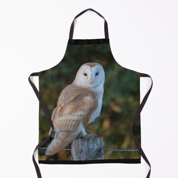 Item preview, barn owl designed and sold by tammy mellor.