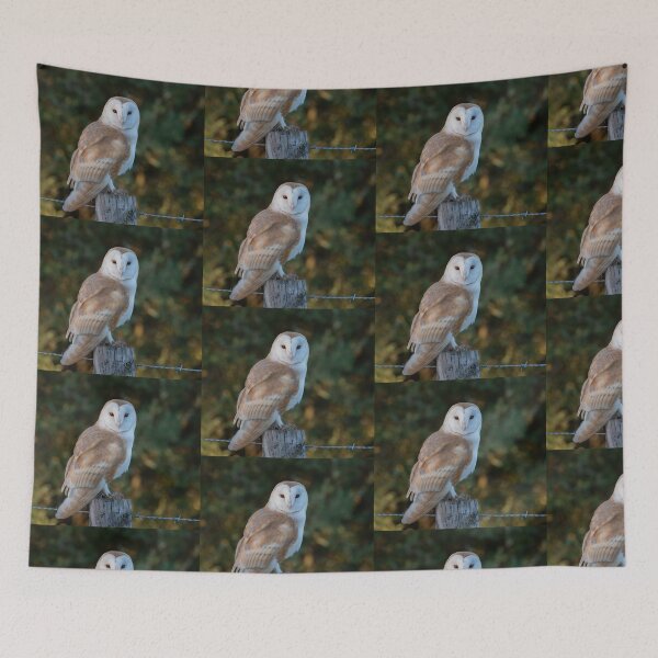 Item preview, barn owl designed and sold by tammy mellor.