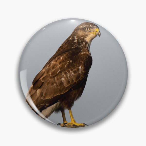 Item preview, buzzard designed and sold by tammy mellor.