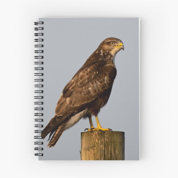Item preview, buzzard designed and sold by tammy mellor.