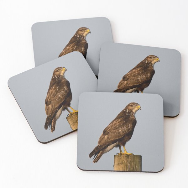 Item preview, buzzard designed and sold by tammy mellor.