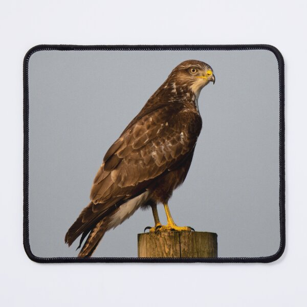 Item preview, buzzard designed and sold by tammy mellor.