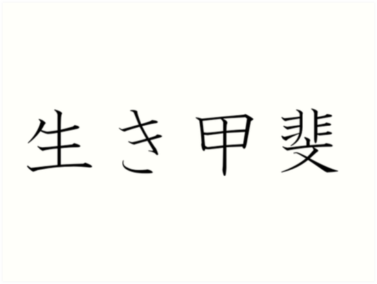 Ikigai - Japanese Symbols by realmatdesign