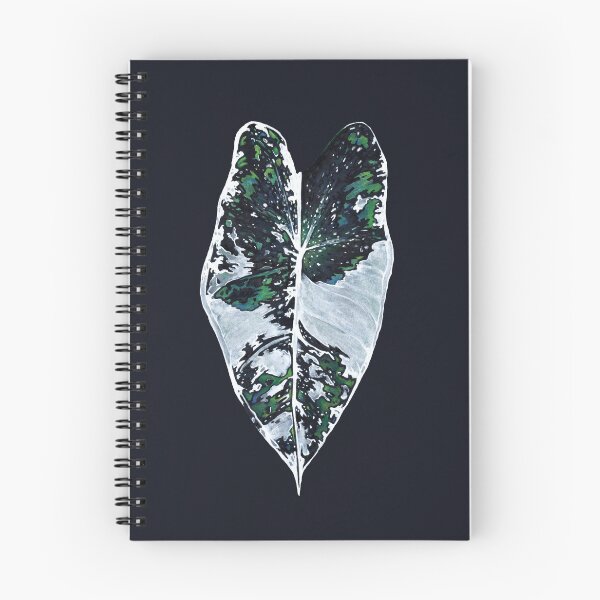 Item preview, Variegata. drawing designed and sold by Soulape.
