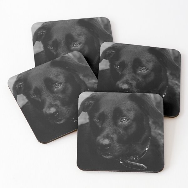 Item preview, black labrador portrait designed and sold by Francespoppy.