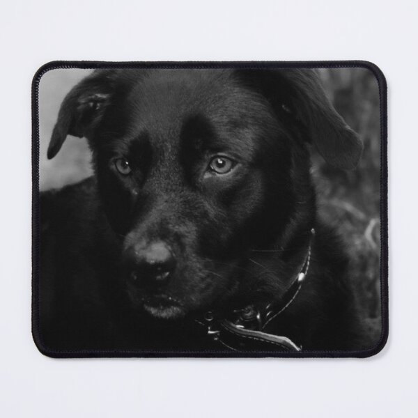 Item preview, black labrador portrait designed and sold by Francespoppy.