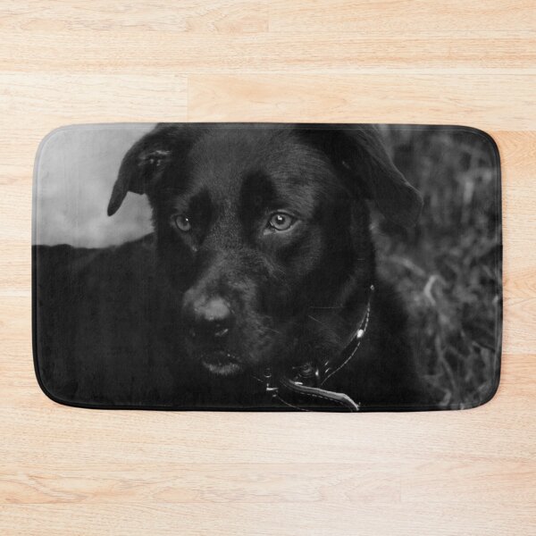 Item preview, black labrador portrait designed and sold by Francespoppy.