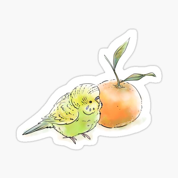 Cute Glitter Bird Stickers, Kawaii Sticker Set, Budgie Stickers, Planner or  Journal Stickers 