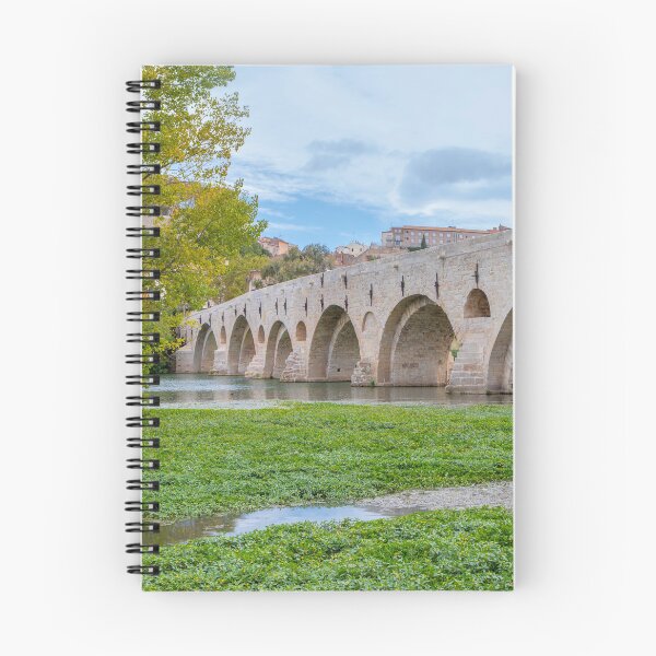 Item preview, Pont Vieux designed and sold by Dave Hare Photography.