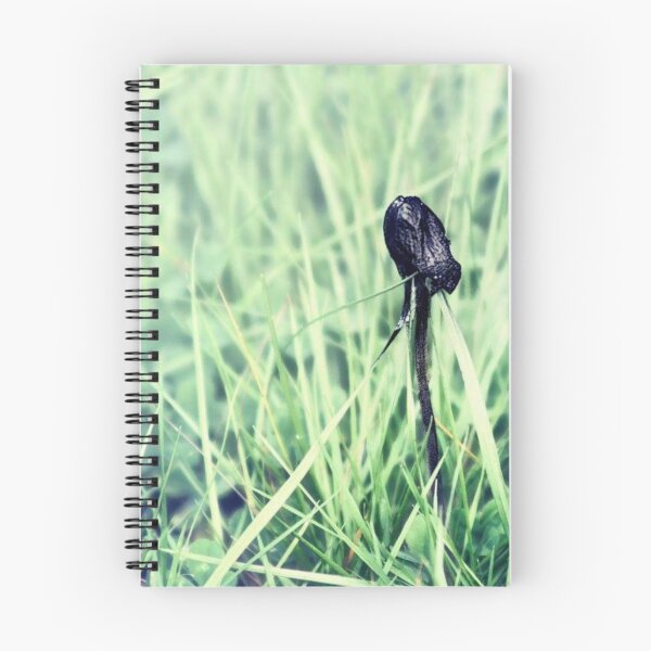 Item preview, wild mushroom designed and sold by Francespoppy.