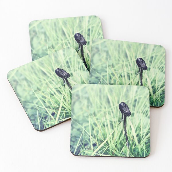 Item preview, wild mushroom designed and sold by Francespoppy.