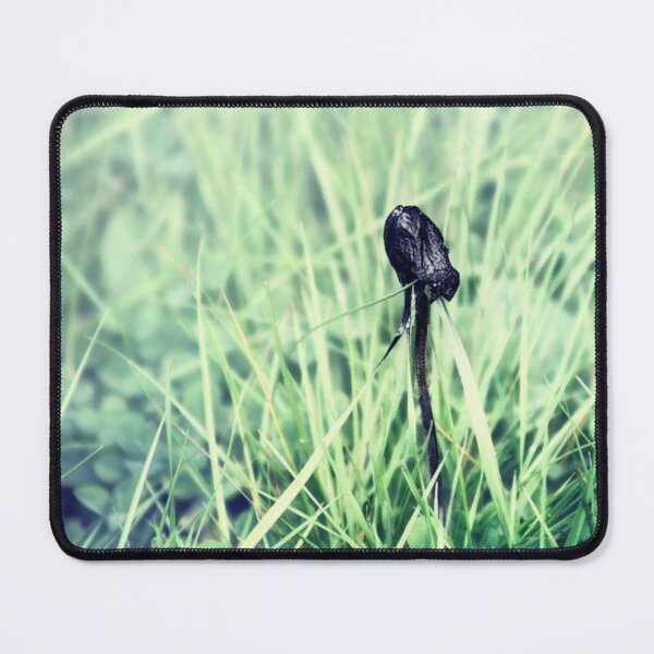 Item preview, wild mushroom designed and sold by Francespoppy.