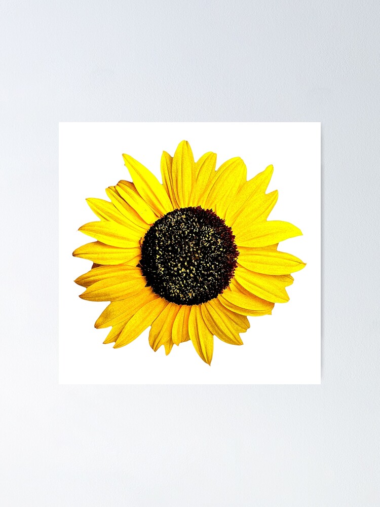 Sunflower Drawing Yellow Happy Flower Laptop Water Bottle Tumblr