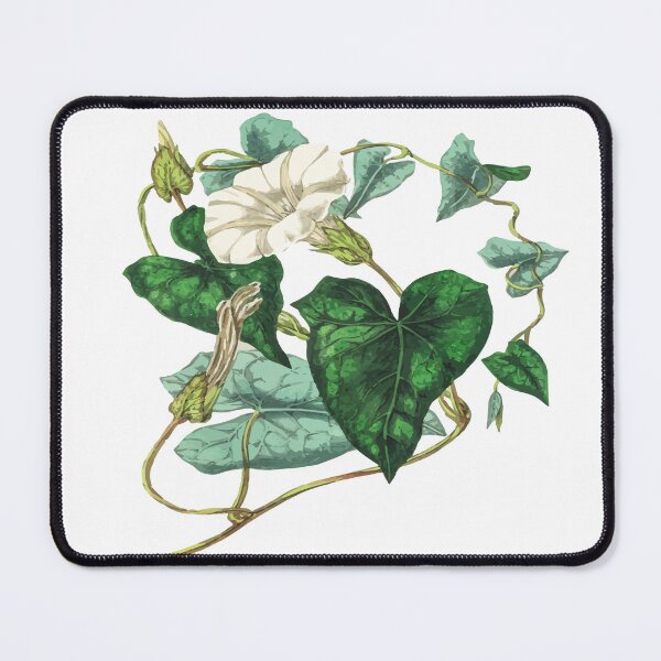 Item preview, vintage snapdragons designed and sold by chopapi.