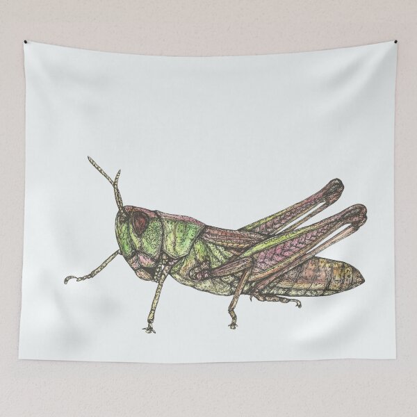 Item preview, Grasshopper designed and sold by SerenSketches.